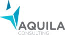 Aquila Consulting